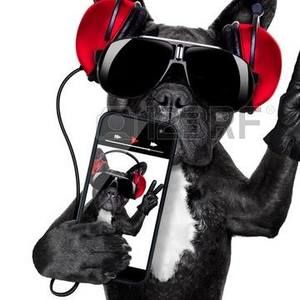 Meet your Posher, Henry